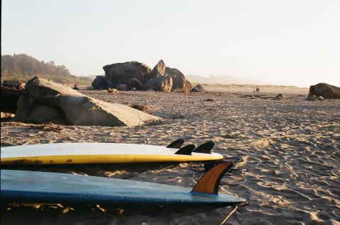 Surfing is bliss