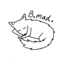 BMad Kitty