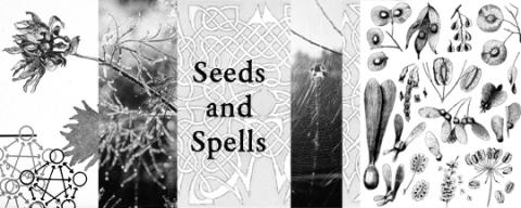 Seeds and Spells Header